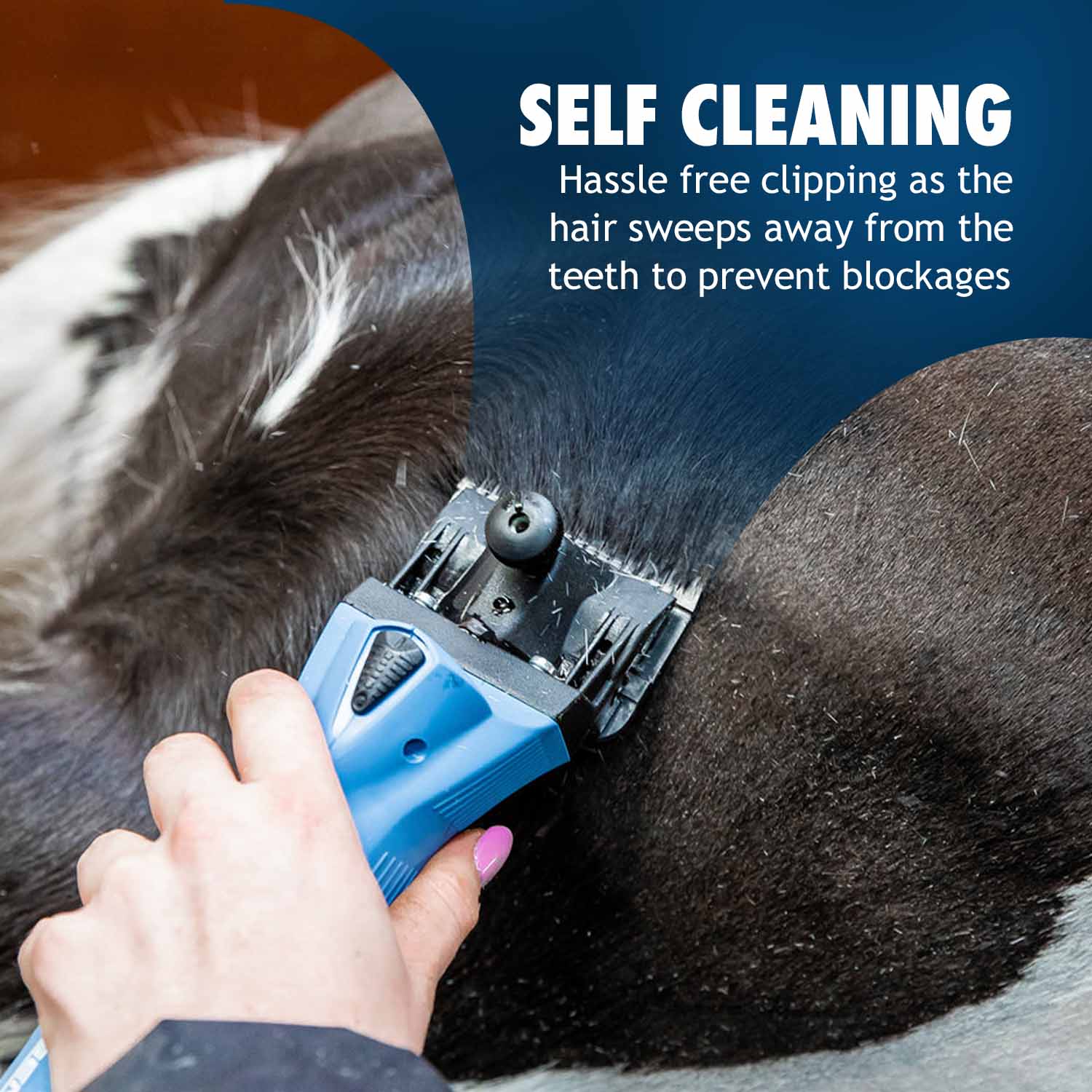 Lister Wizard 13T (Wool) Blade Sheep Shearing Supplies Wahl UK