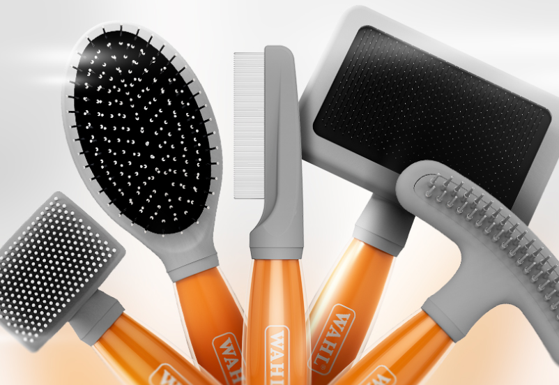 Wahl brushes
