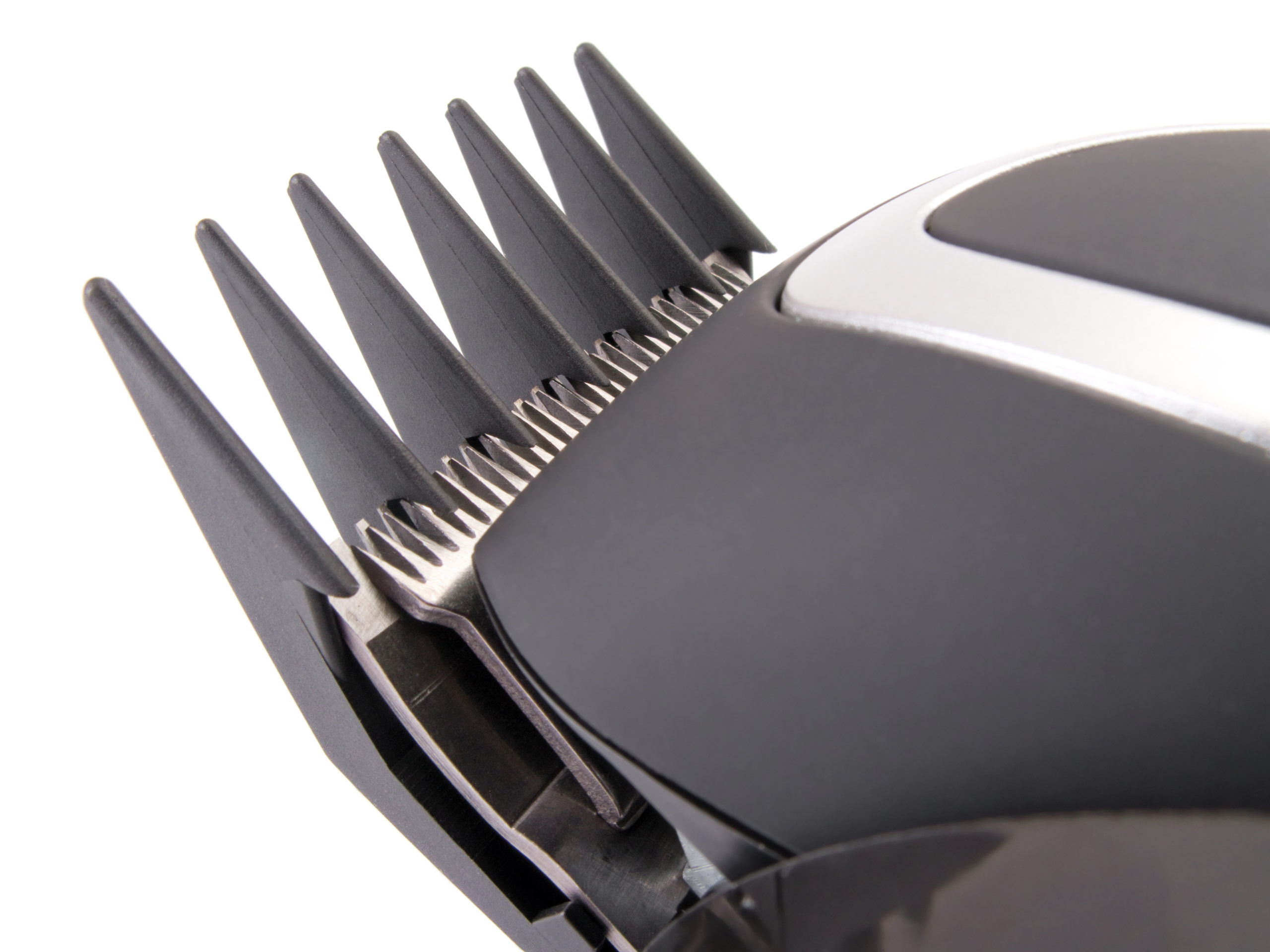 A Guide to Clipper Combs for Dog Grooming Wahl UK