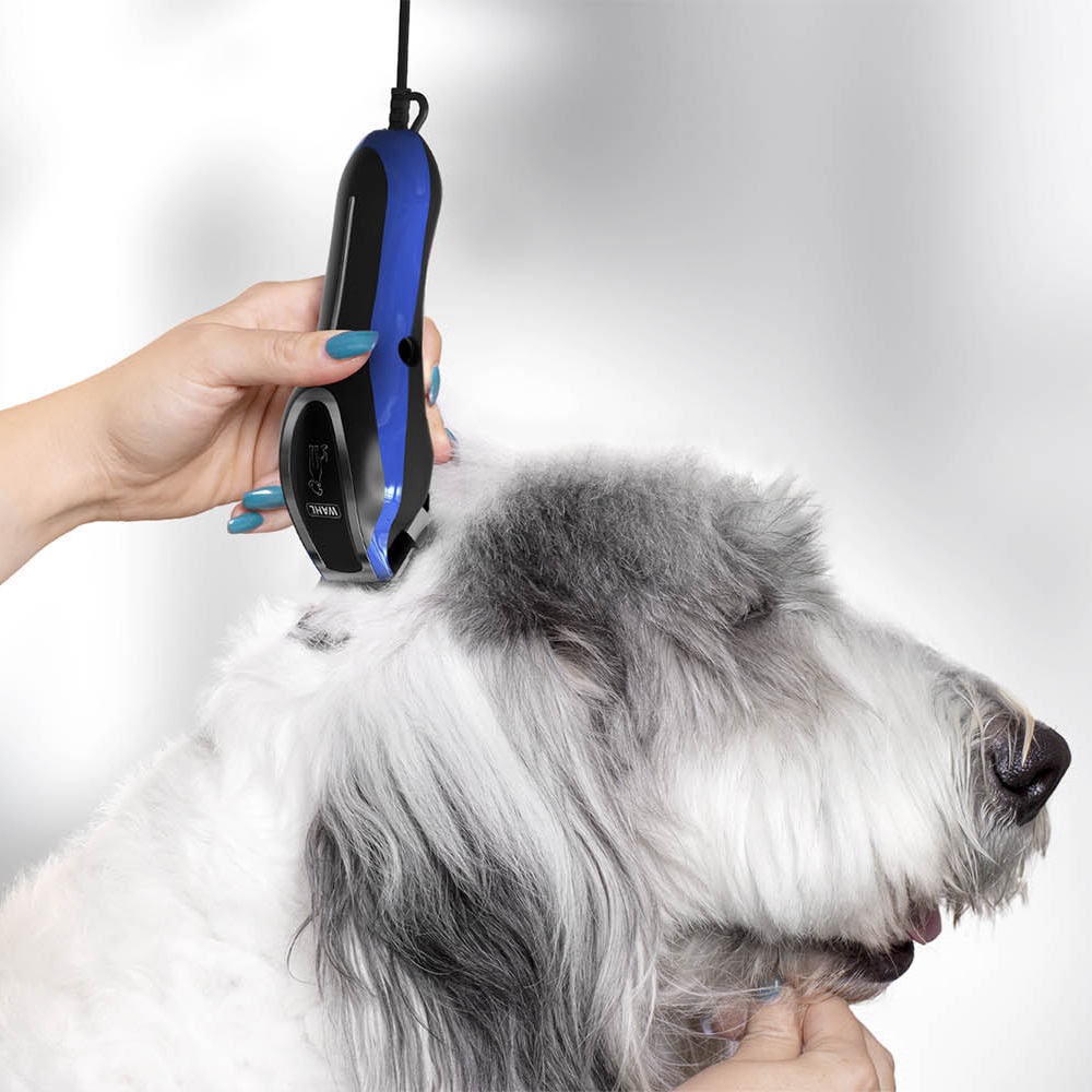 Masterclip Best Clippers For Lhasa Apso Best Dog Hair Clippers For