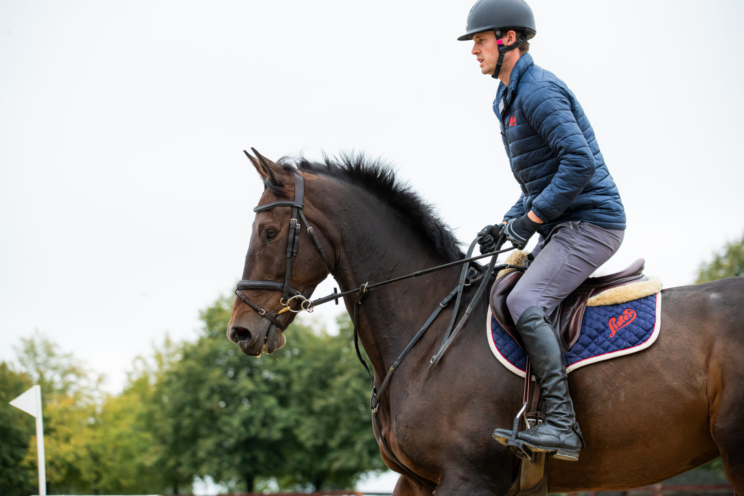 person riding a horse