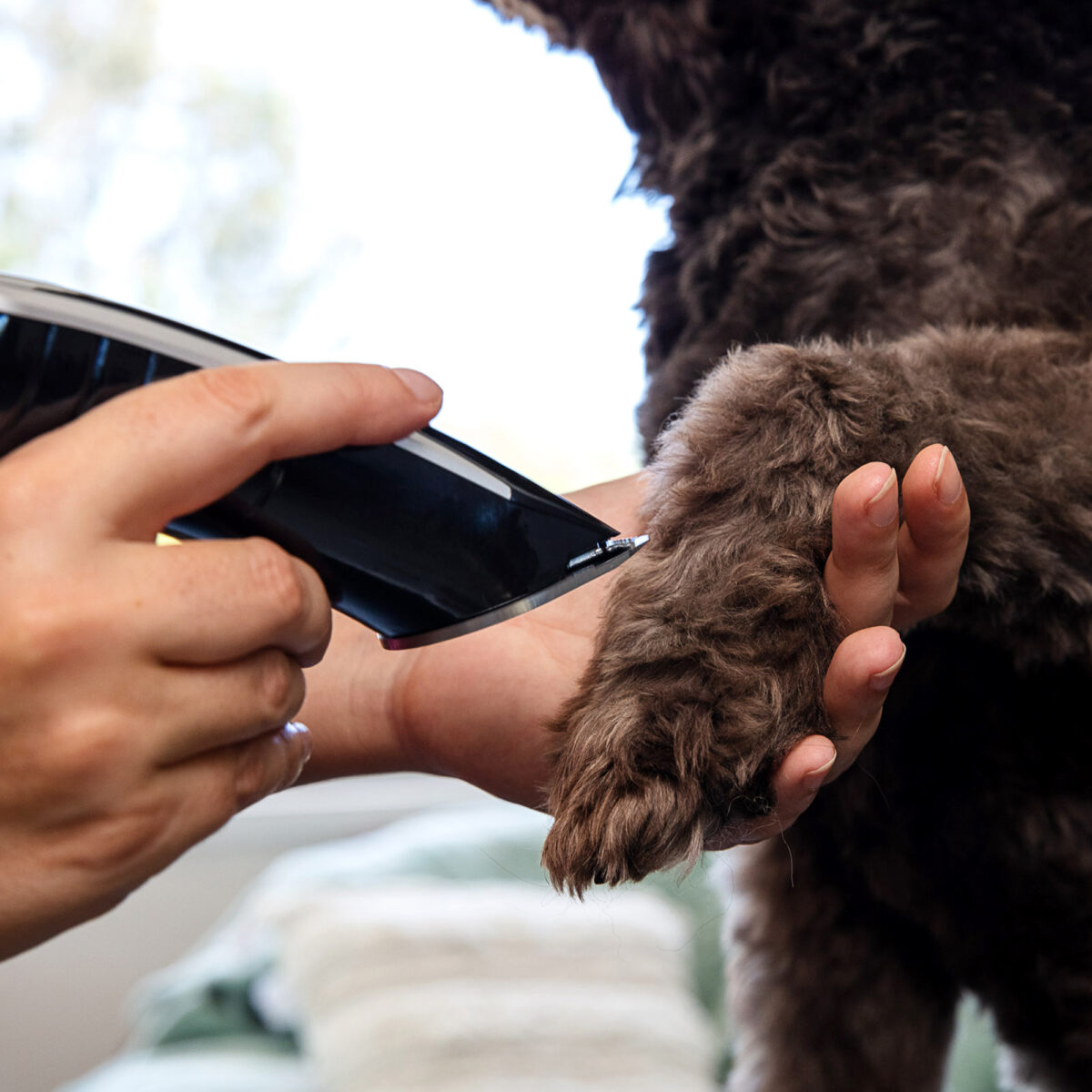 Image showcasing Animal Clippers - Home Pet Grooming Tools - Wahl UK