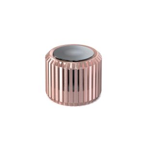 Rose Gold Vanquish Spare Filter