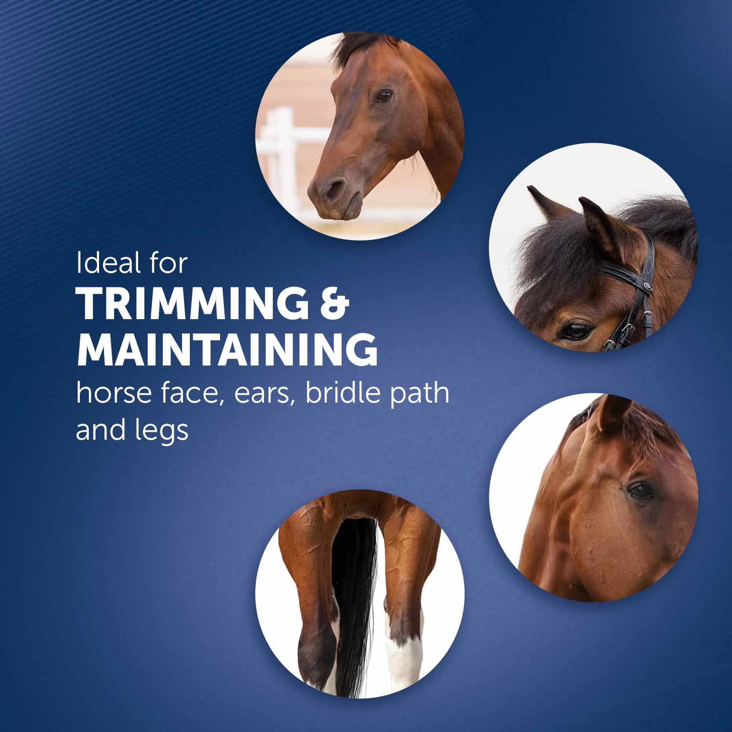 Pro Ion Cord/Cordless Horse Trimmer Equine Grooming Tools Wahl UK