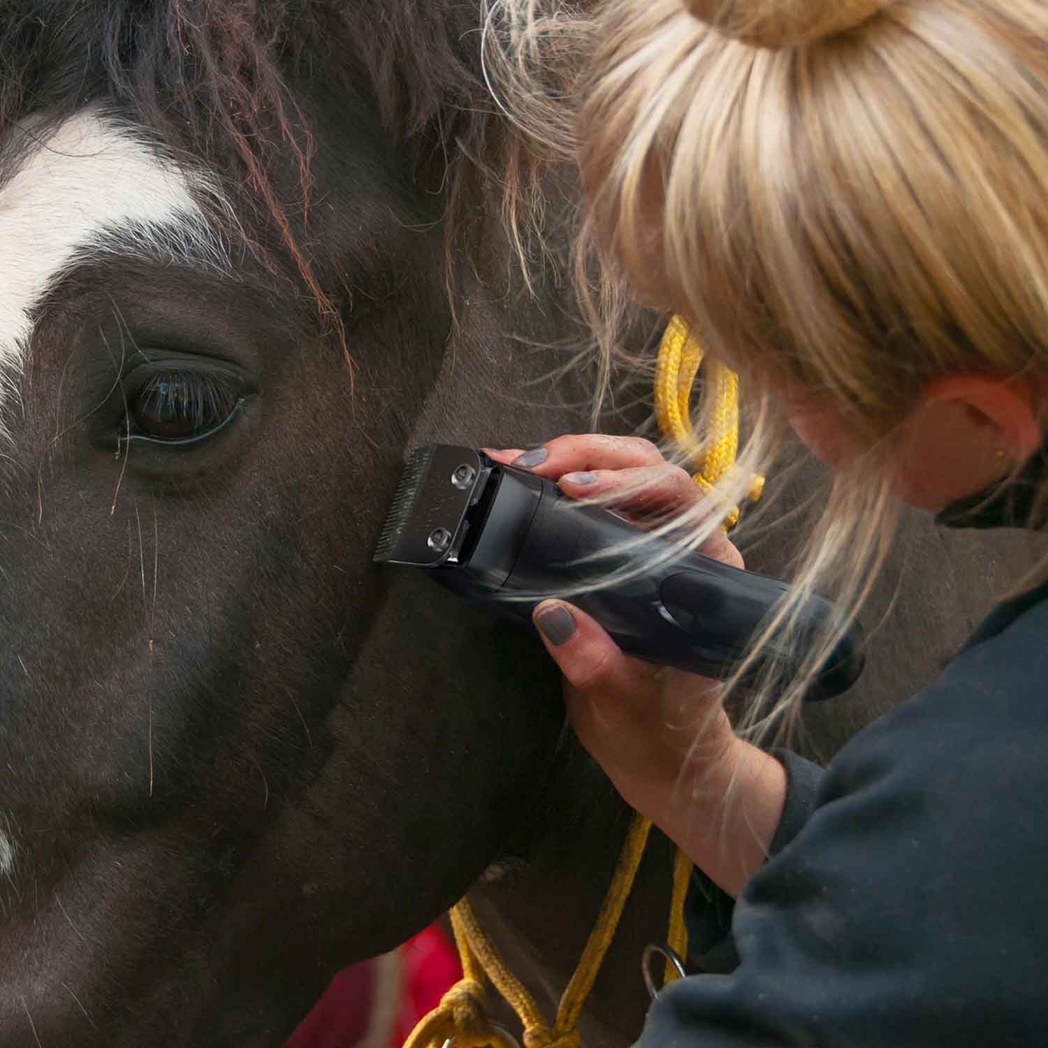 Pro Ion Cord/Cordless Horse Trimmer Equine Grooming Tools Wahl UK