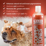 Copper Tones Shampoo