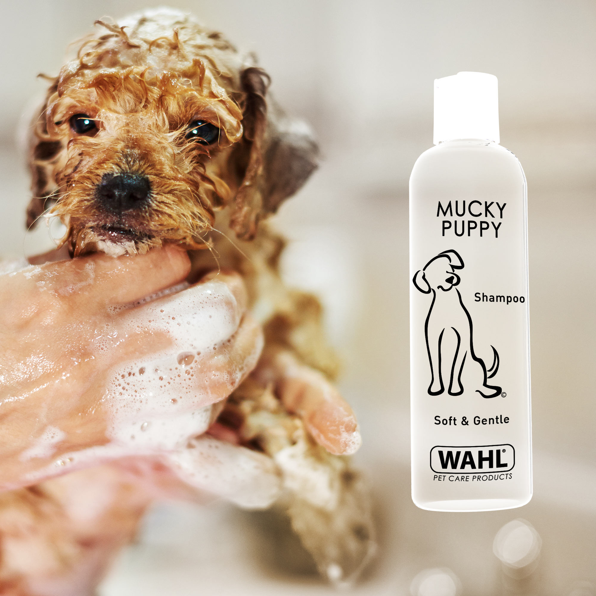 Wahl Mucky Puppy Shampoo Pet Grooming Pets At Home