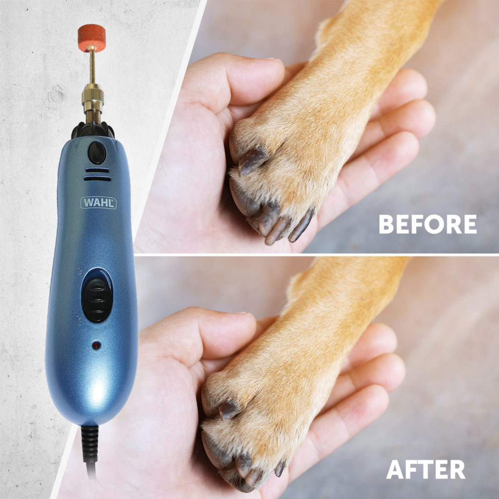 Wahl Premium Nail Filer for Small Animals Pets  Wahl Pro