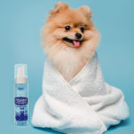 Wahl No Rinse Pet Shampoo