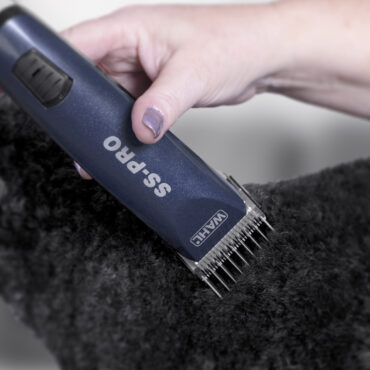 wahl ct12 5gg