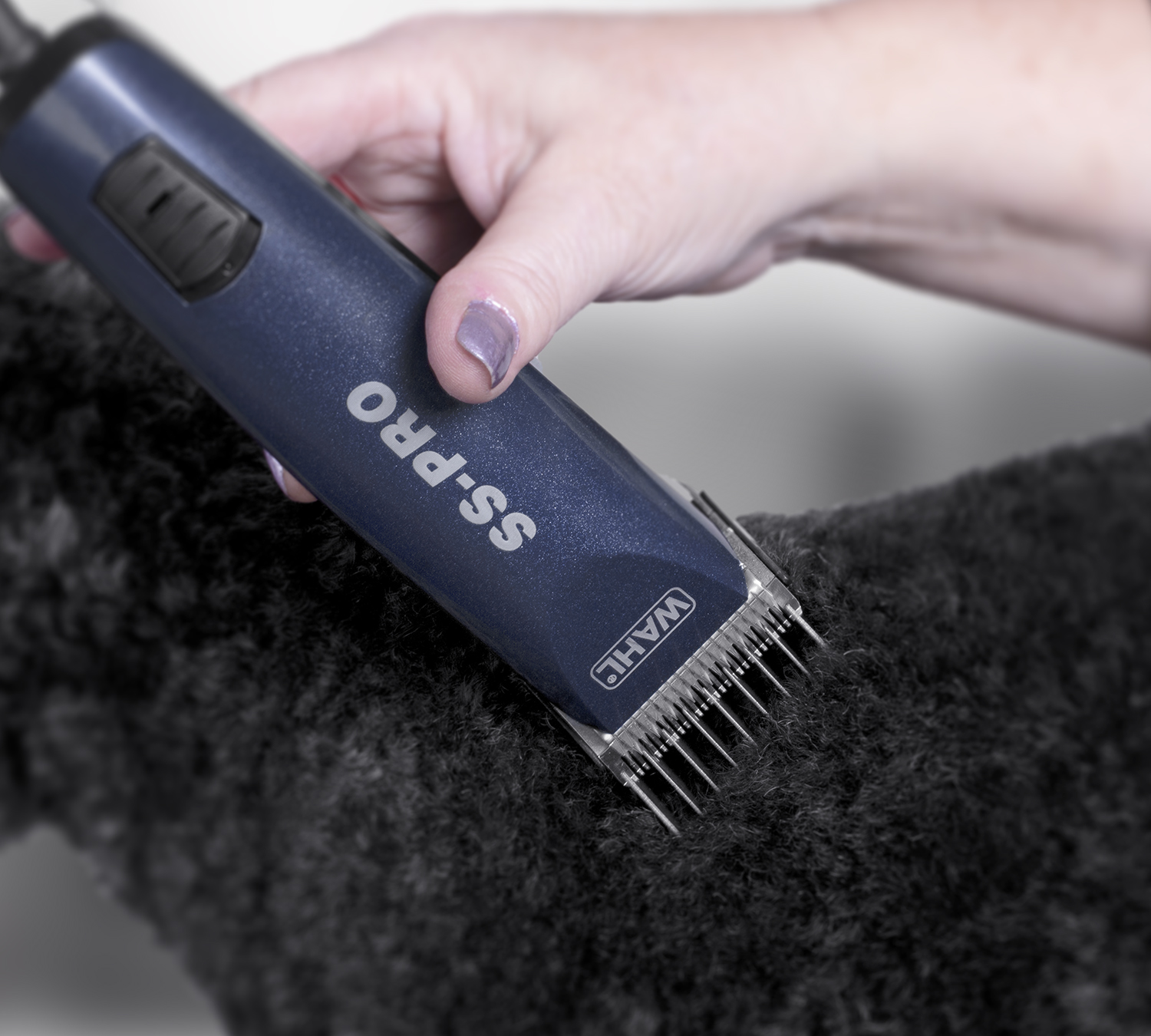 Wahl UK How To Choose The Right Pet Clipper Pet Grooming