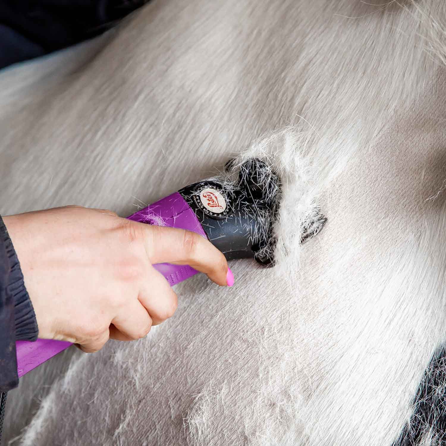 Wahl Lister Star Clipper Equine Clipping Horse Grooming Tools