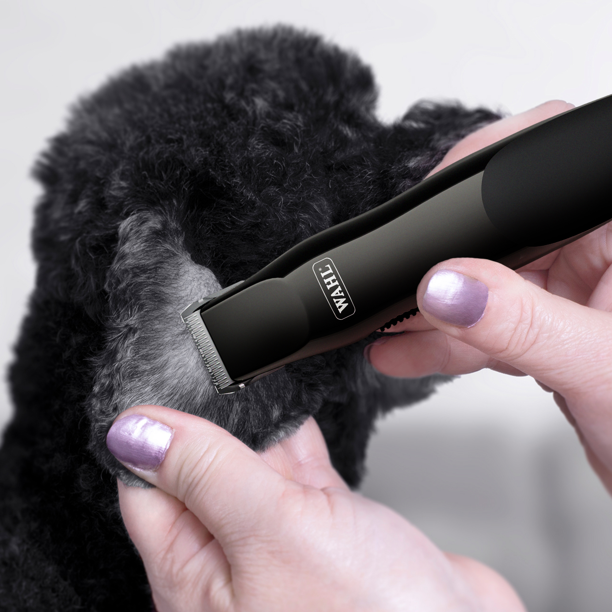 Wahl Easy Trim Trimmer Kit Pets Grooming Kit Pets at Home