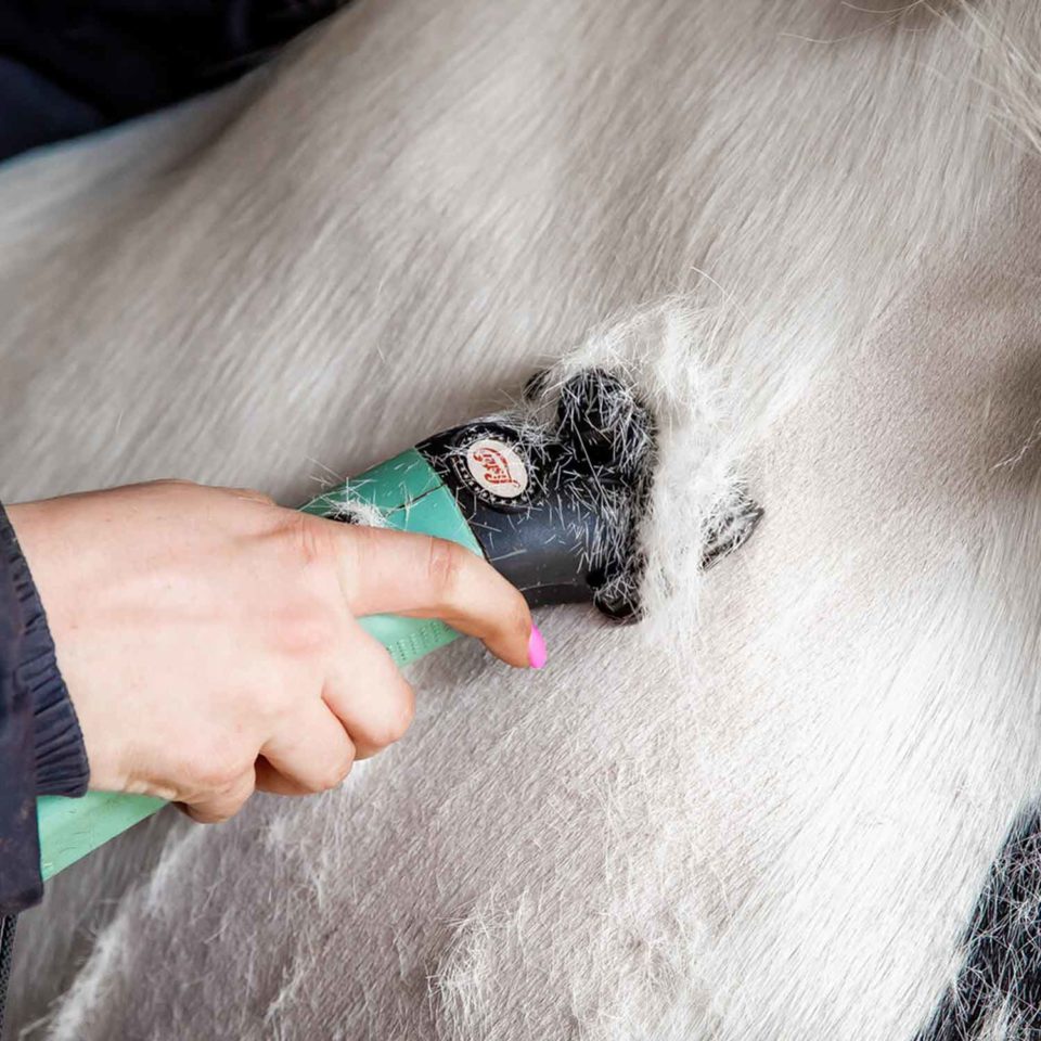 Lister Star Clipper in Holdall Green Wahl UK