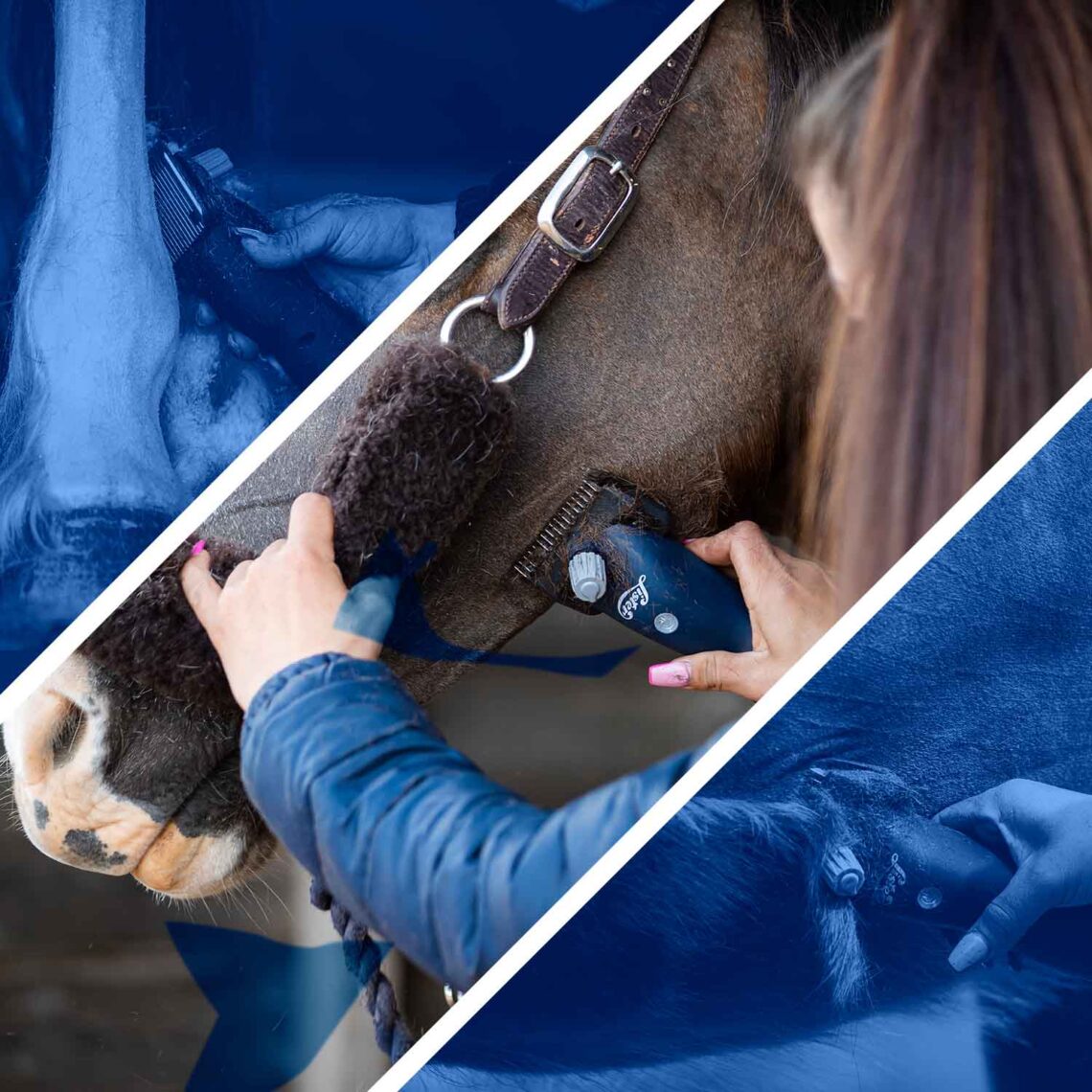 Lister Eclipse Cordless Horse Clipper Wahl UK