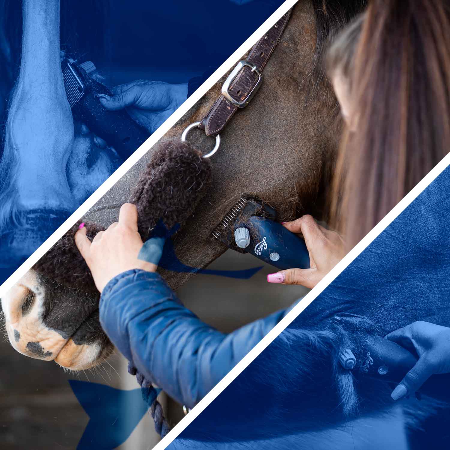 Lister Eclipse Cordless Horse Clipper Wahl UK